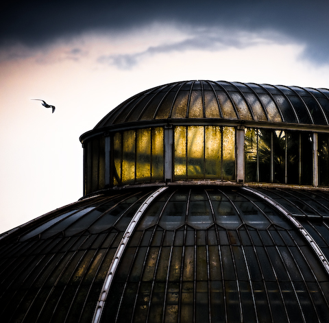 Dusk at the Palm House